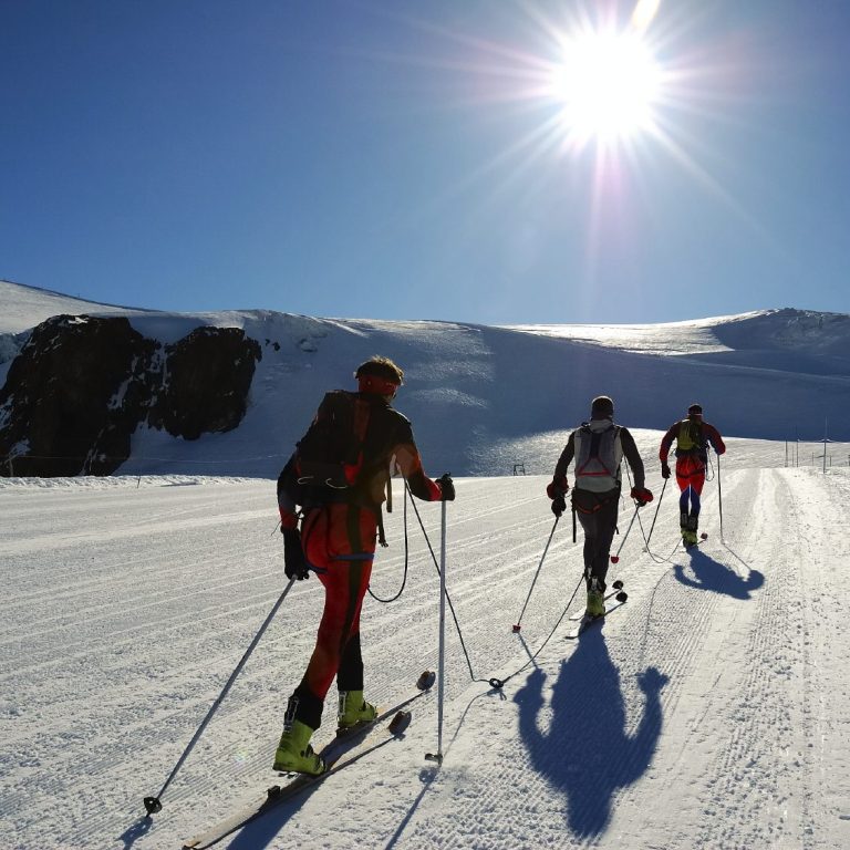 Audit de climat social et organisationnel